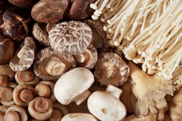 10 Jenis Jamur Ini Aman dan Dapat Dikonsumsi, Kamu Suka yang Mana?