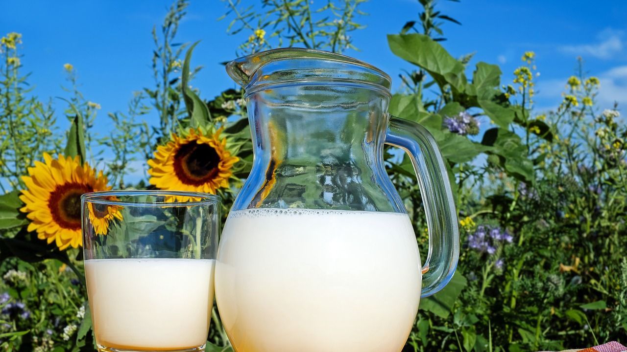 VLOG-Siegel: Bayerische Milchindustrie baut Sortiment aus gentechnikfreier  Milch aus