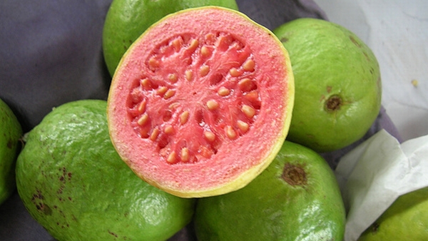 Manfaat Lain Dari Buah Jambu Biji