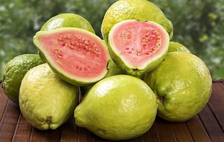 Menanggulangi Covid-19 dengan Jambu Biji Merah - Dari Laut