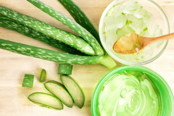 Inilah manfaat aloe vera