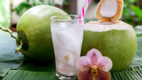 Manfaat Minum Air Kelapa bagi Kesehatan Tubuh