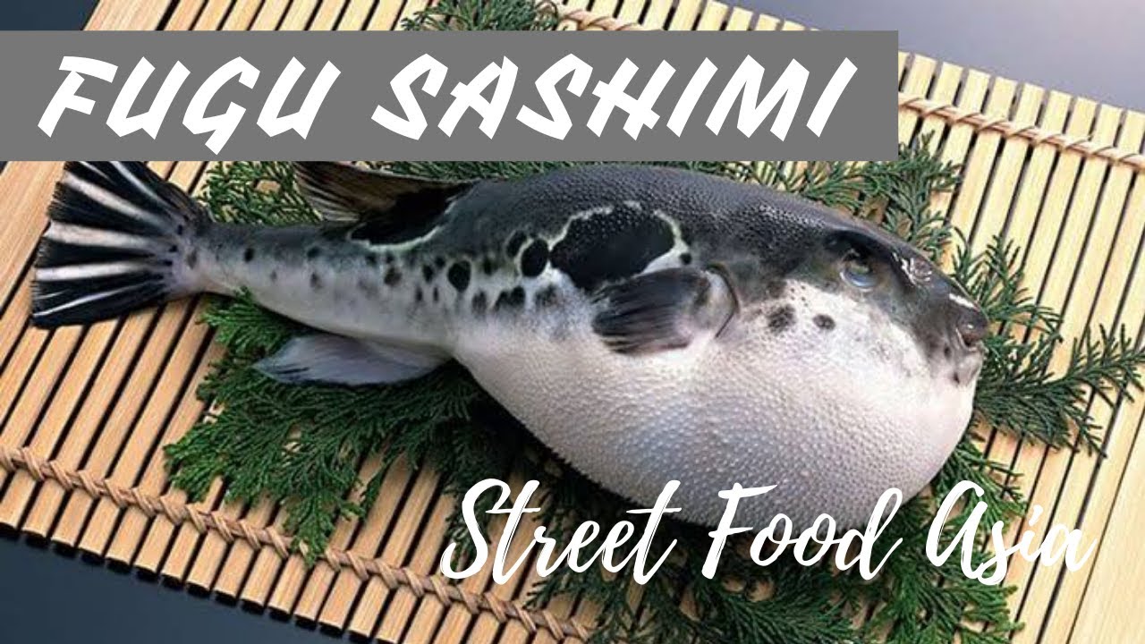 Fugu Fish, Si Ikan Beracun Yang populer di Jepang