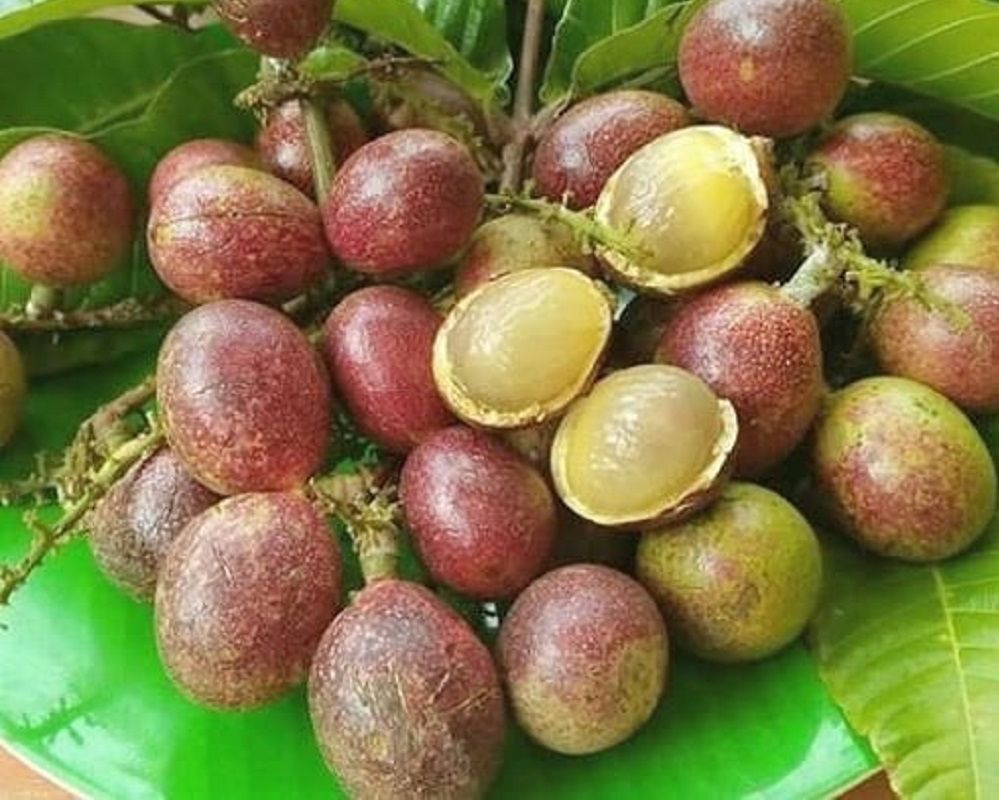 Manfaat Buah Matoa Bagi Kesehatan dan Kecantikan, Dapat Meningkatkan Kesuburan