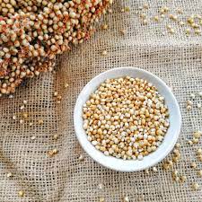 SORGUN PILIHAN PENGGANTI NASI YANG SANGAT BAIK UNTUK KESEHATAN