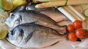 BEBERAPA JENIS IKAN YANG BAIK DIKONSUMSI BAGI PARA PENDERITA DARAH TINGGI